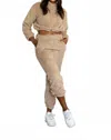 Little Secret Of Mine Women's Cropped Hoodie Jogger Set In Taupe In Brown