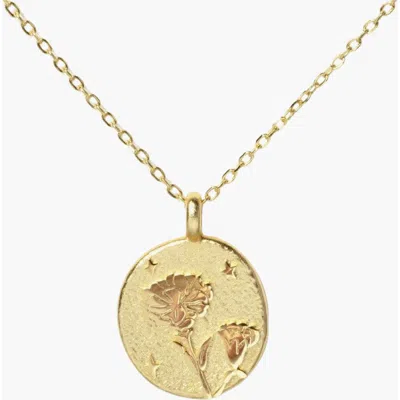 Little Sky Stone Birth Flower Necklace In Carnation/january