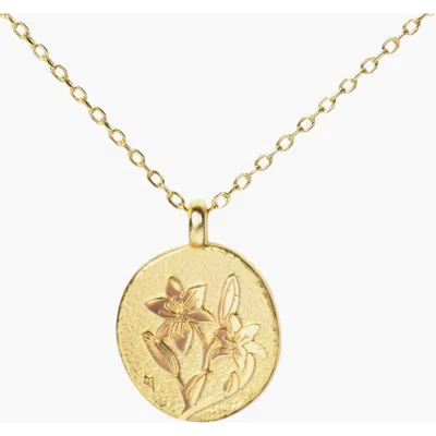 Little Sky Stone Birth Flower Necklace In Lily/may