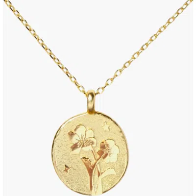 Little Sky Stone Birth Flower Necklace In Violet/february