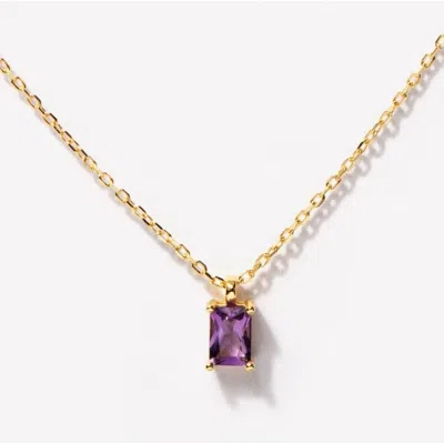 Little Sky Stone Birthstone Necklace In Amethyst/february