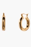 Little Sky Stone Chunky Bear Hoop Earrings In Gold