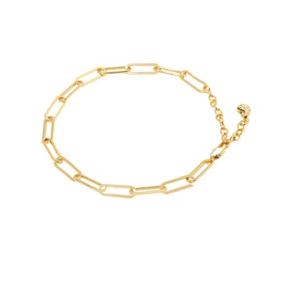 Little Sky Stone Men's Gold Paperclip Chain Anklet