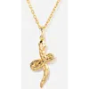 Little Sky Stone Snake Charm Necklace In Gold