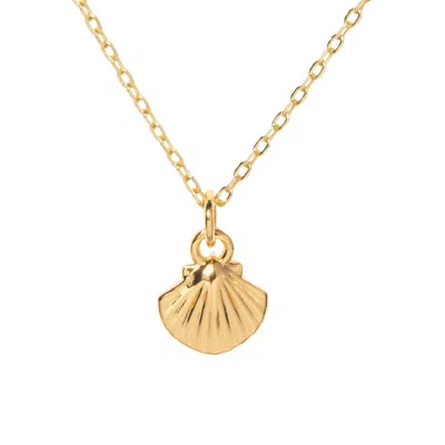 Little Sky Stone Women's Gold Shell Necklace