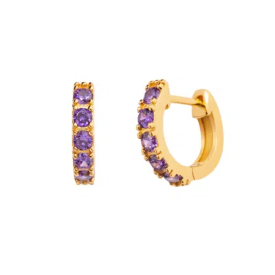 Little Sky Stone Women's Pink / Purple Birthstone Huggie Earrings - February