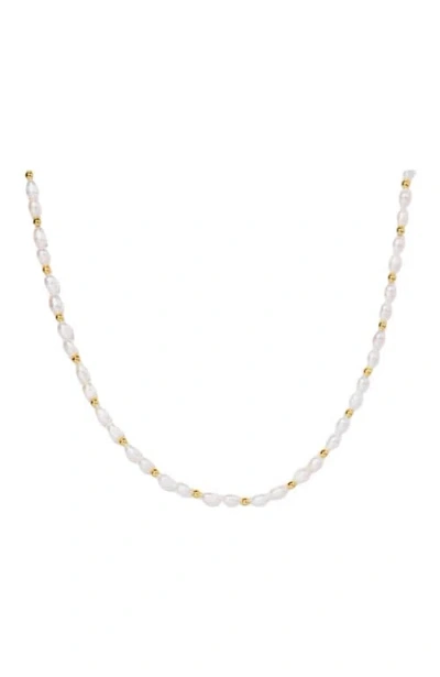 Little Sky Stone Zera Pearl Choker Necklace In Multi