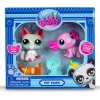 Littlest Pet Shop Divin' Diva 2-pack Assortment Dolls In Transparent