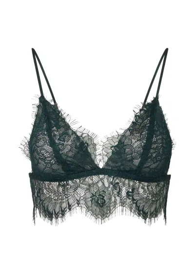 Liu •jo Chantilly Lace Bralette In Green
