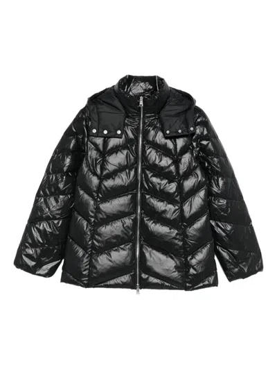 Liu •jo Quilted-pattern Hooded Jacket In Black