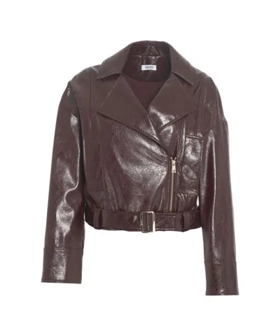 Liu •jo Cropped Biker Jacket In Glossy Faux Leather In Brown