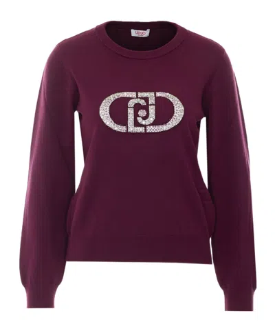 Liu •jo Crystal-logo Crew-neck Sweater In Brown