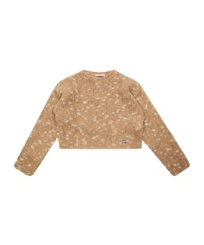 Liu •jo Liu Jo Kids Crewneck Jumper In Brown