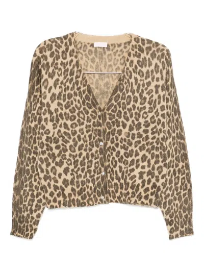 Liu •jo Leopard-print Buttoned Cardigan In Brown