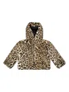 Liu •jo Leopard-print Hooded Jacket In Animal Print
