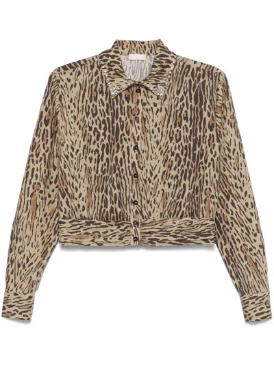 Liu •jo Leopard-print Shirt In Brown