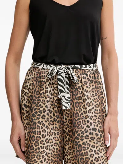 Liu •jo Leopard-print Zebra-pattern Shorts In Brown