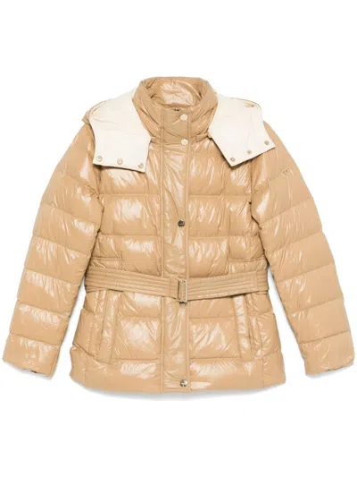 Liu •jo Padded Hooded Jacket In Neutrals