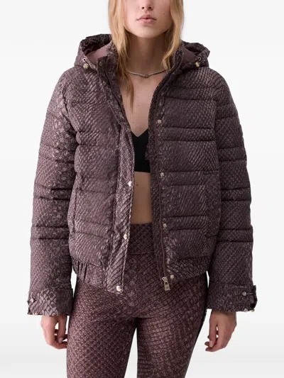 Liu •jo Printed Nylon Jacket In Purple