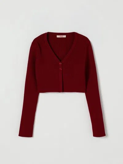 Liu •jo Sweater Liu Jo Kids Color Burgundy
