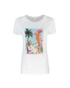Liu •jo Cotton T-shirt In White With Print In M9565