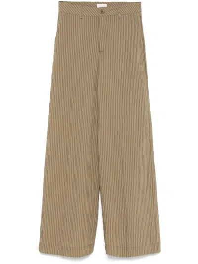 Liu •jo Trousers In Green With Stripes