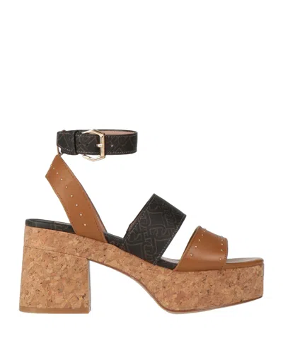 Liu •jo Liu Jo Sandals In Marrone Marroni