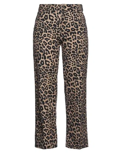 Liu •jo Woman Pants Camel Size 28 Cotton, Elastane In Beige