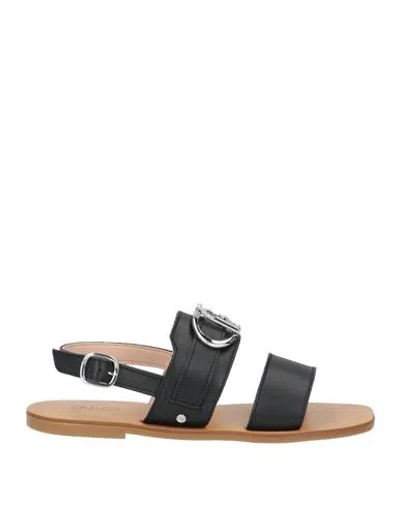 Liu •jo Woman Sandals Black Size 6 Calfskin