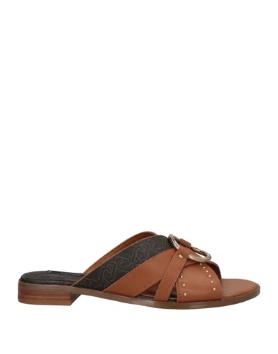 Liu •jo Sandals In Brown