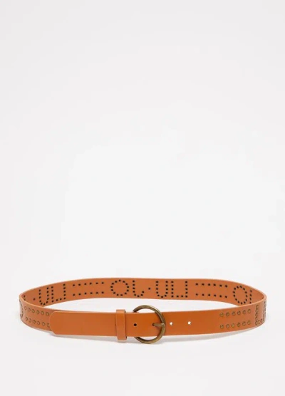 Liu •jo Women's Belt Liu Jo Ua3225 E0434 00320 In Orange