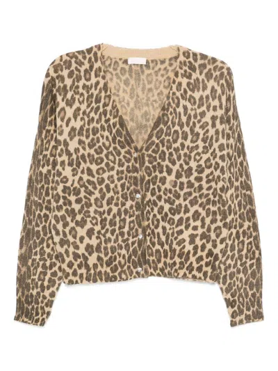 Liujo Animalprint-cardigan Mit V-ausschnitt  In Brown