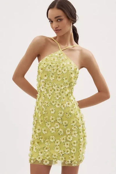 Liv Foster Maeve Beaded Halter Mini Dress In Yellow