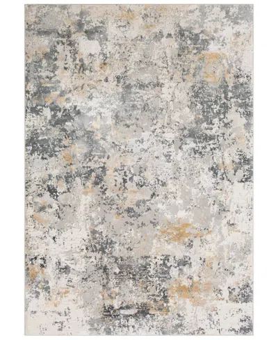 Livabliss Aisha Ais-2303 Charcoal 9'3" X 12'3" Area Rug