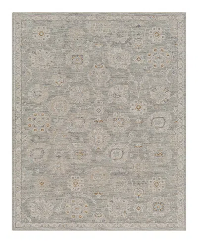 Livabliss Avant Garde Avt-2335 2' X 3' Area Rug In Gray