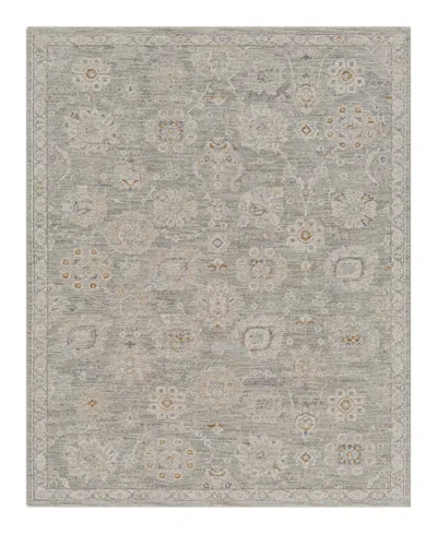 Livabliss Avant Garde Avt-2335 2'7" X 4' Area Rug In Gray