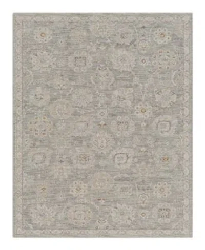 Livabliss Avant Garde Avt 2335 Area Rugs In Brown