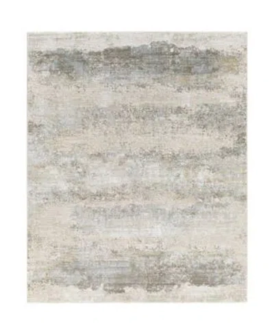 Livabliss Brunswick Bwk 2305 Area Rug In Gray