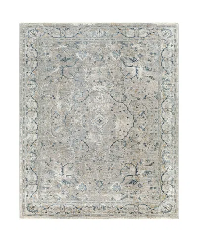 Livabliss Brunswick Bwk-2314 2' X 3' Area Rug In Gray
