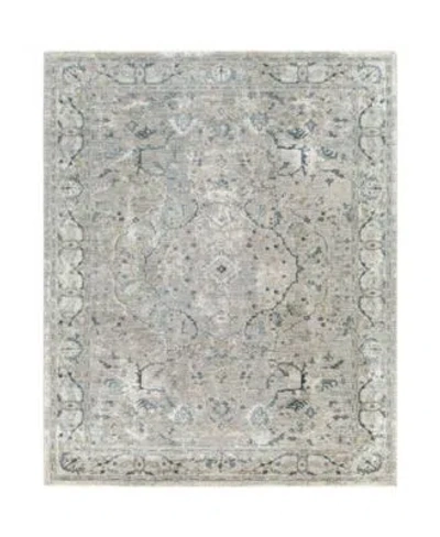 Livabliss Brunswick Bwk 2314 Area Rug In Gray