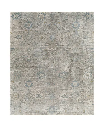 Livabliss Brunswick Bwk-2315 2' X 3' Area Rug In Gray