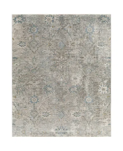 Livabliss Brunswick Bwk-2315 5' X 7'5" Area Rug In Gray