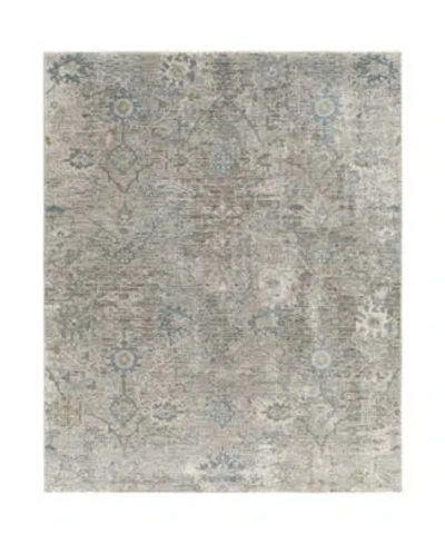 Livabliss Brunswick Bwk 2315 Area Rug In Gray