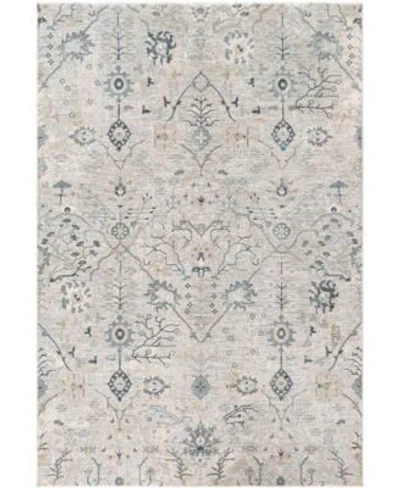 Livabliss Brunswick Bwk 2316 Area Rug In Multi