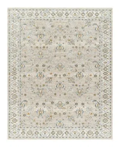 Livabliss Dresden Dre 2311 Area Rug In Neutral