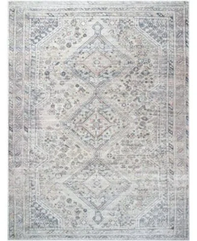 Livabliss Eleni Vvel 2301 Rug Collection In Beige,gray