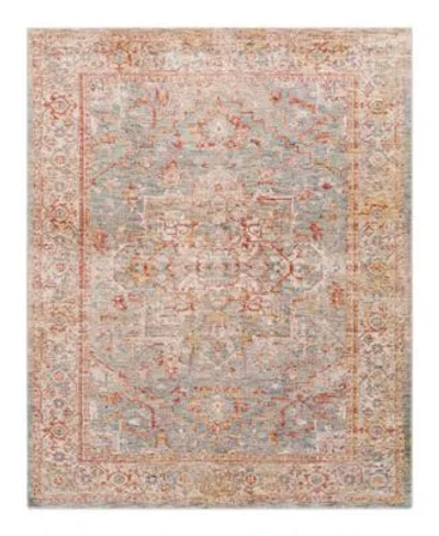 Livabliss Mirabel Mbe 2310 Area Rug In Brown