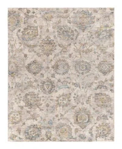 Livabliss Mirabel Mbe 2316 Area Rug In Neutral