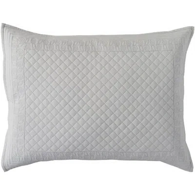 Livabliss Pocono Sham In Pale Blue