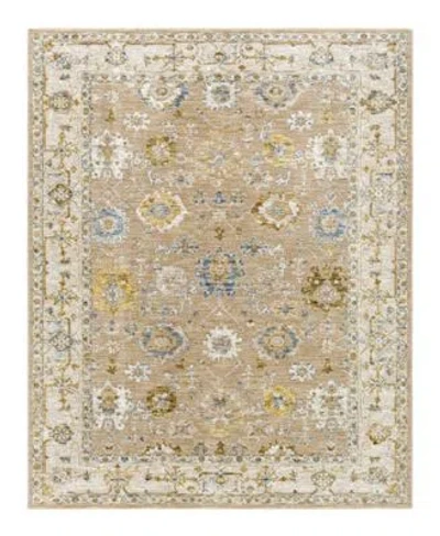 Livabliss Reina Ren 2308 Area Rugs In Brown